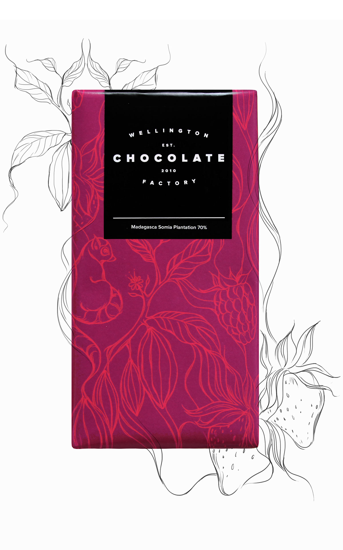 惠灵顿巧克力的巧克力包装设计。(图5)