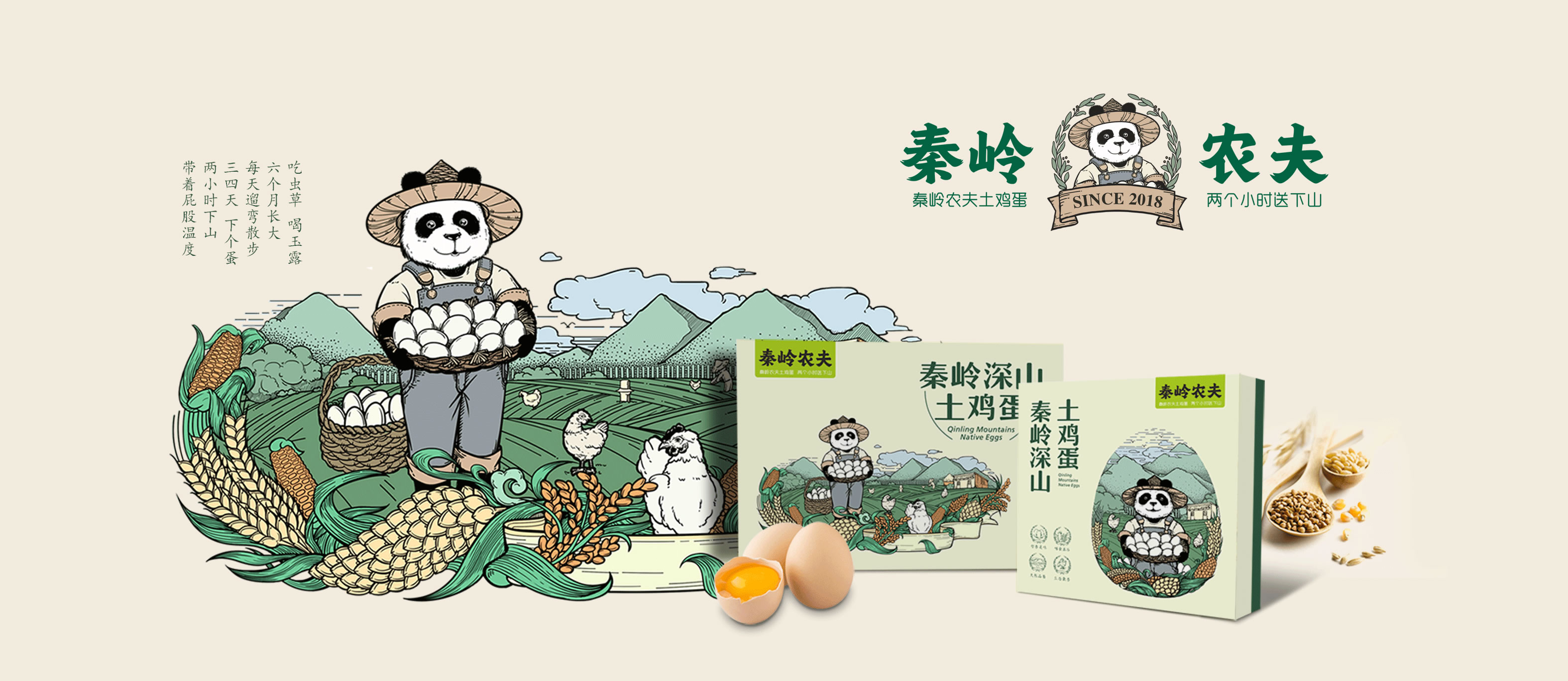鸡蛋包装盒设计方案-鸡蛋包装设计公司(图1)