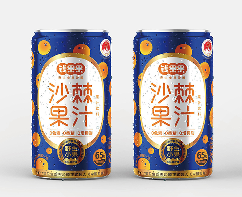 钱果果野生小果沙棘品牌包装策划设计