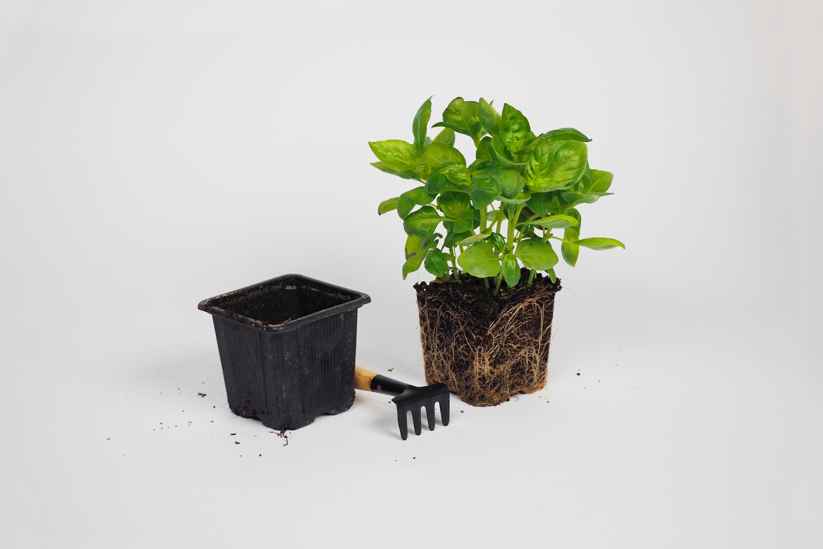 植物盆栽的包装设计让消费者和产品互动起来(图1)