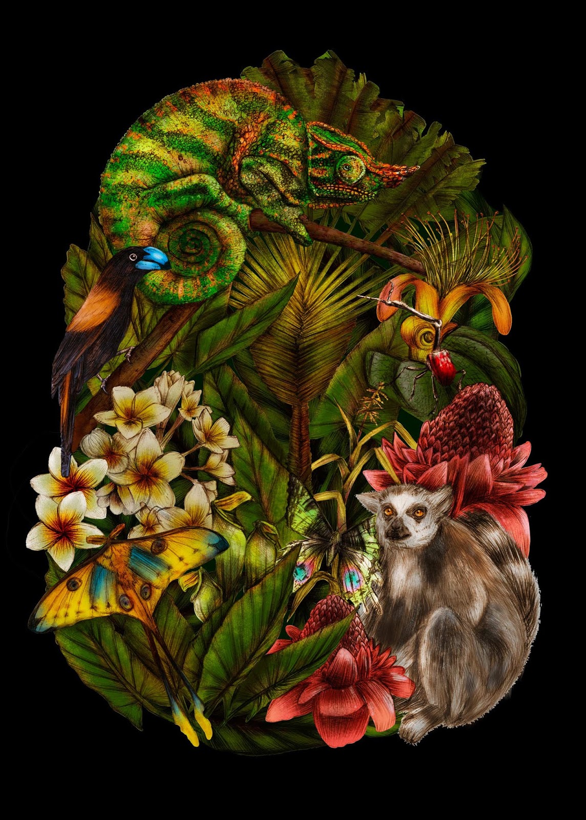 东营酒包装设计这款看着很原始丛林(图10)