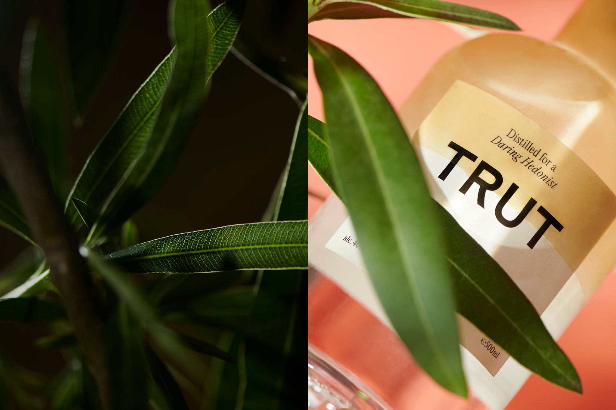 TRUT酒包装，迷人的酒瓶专注于每一个设计细节(图7)