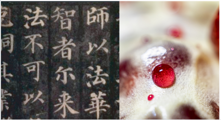 不喝白酒，就喝御石榴酒(图2)