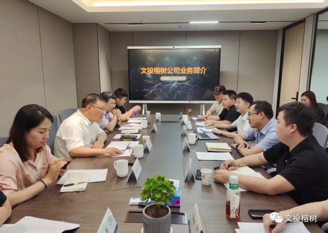 中观控股一行到访文投榕树公司磋商洽谈(图1)