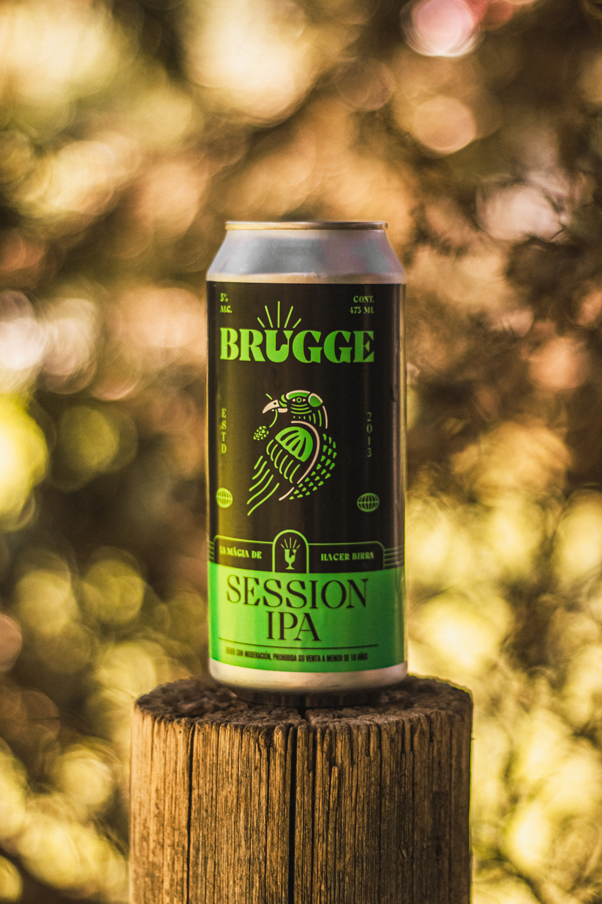 Brugge精酿啤酒包装设计(图3)