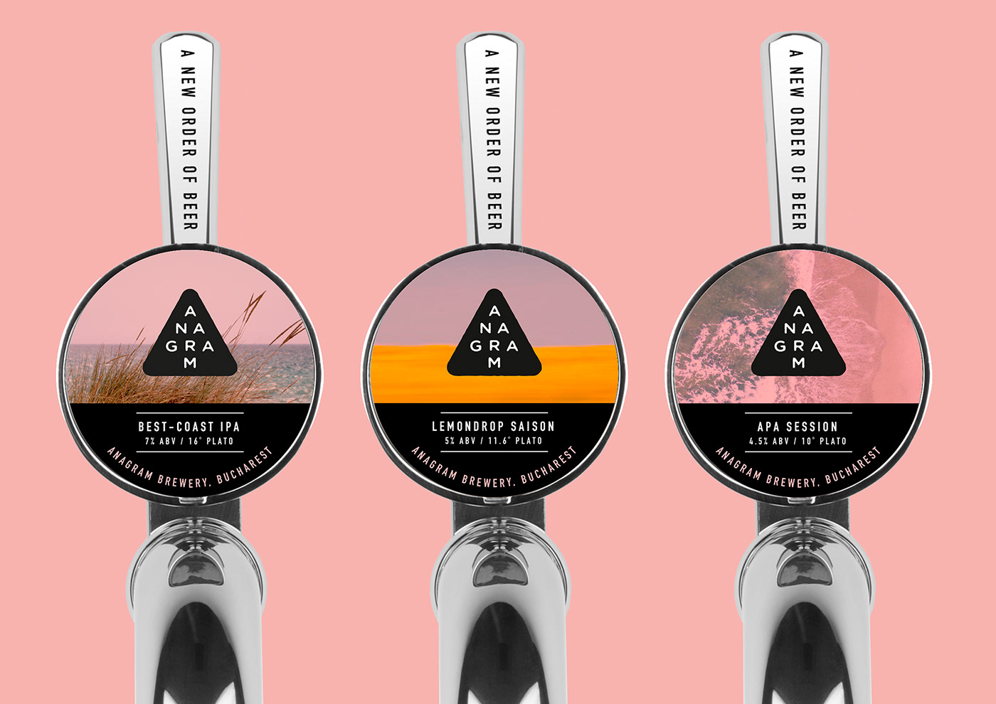 Anagram Brewing精酿啤酒包装设计(图6)