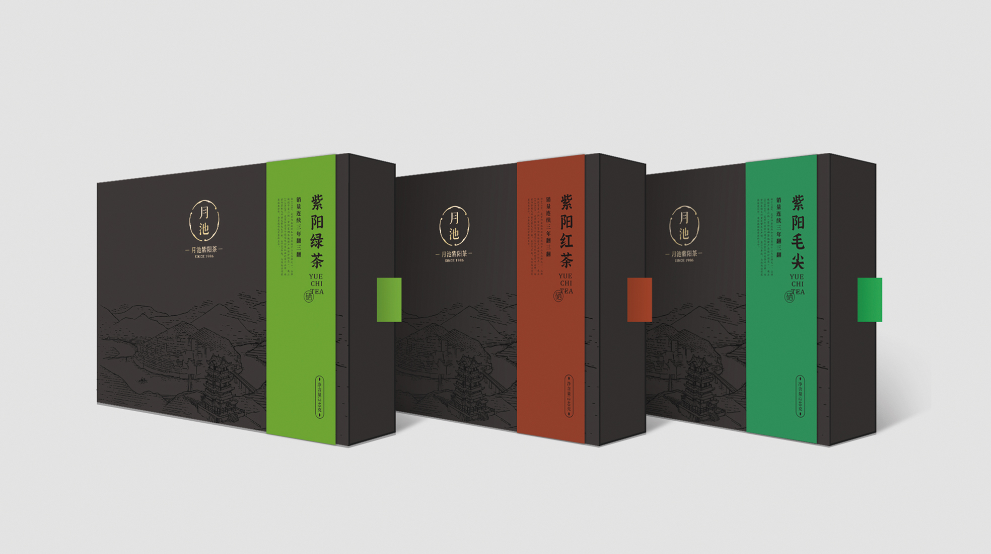 紫阳富硒茶包装设计怎么做(图3)