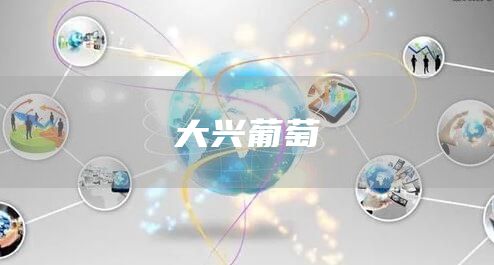 大兴葡萄(图1) 大兴葡萄(图1)