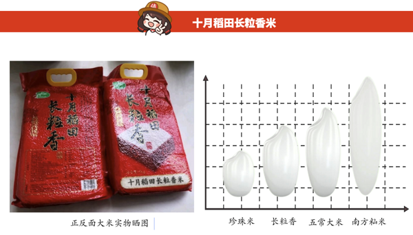 SHI YUE DAO TIAN 十月稻田 长粒香米 10kg包装设计欣赏 (图2)