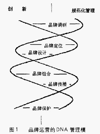 品牌运营的DNA管理模型(图1)