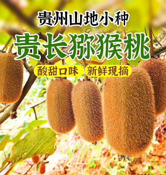 四喜：“包装五力”要有力量之四——信任力(图6)