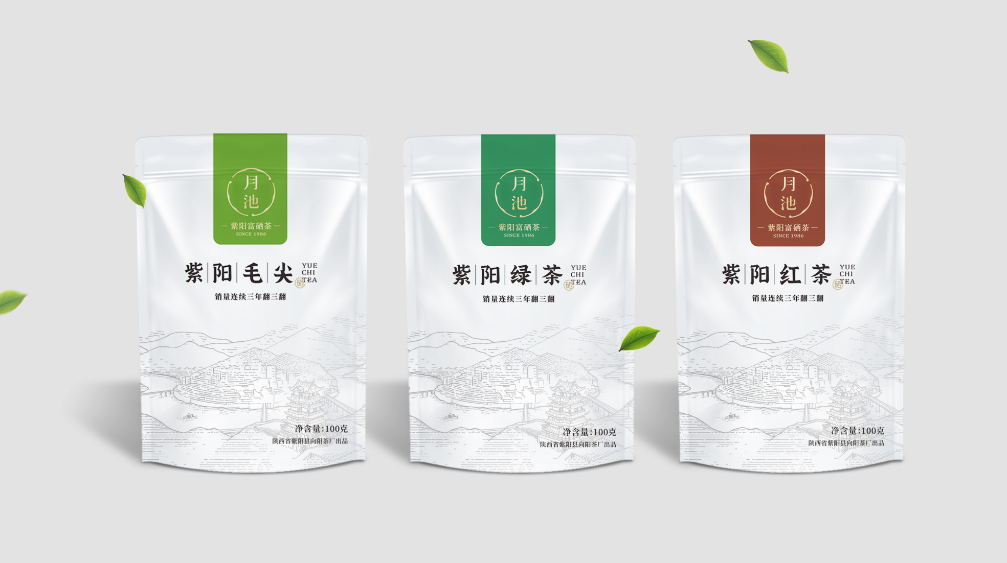 紫阳富硒茶包装设计(图1)
