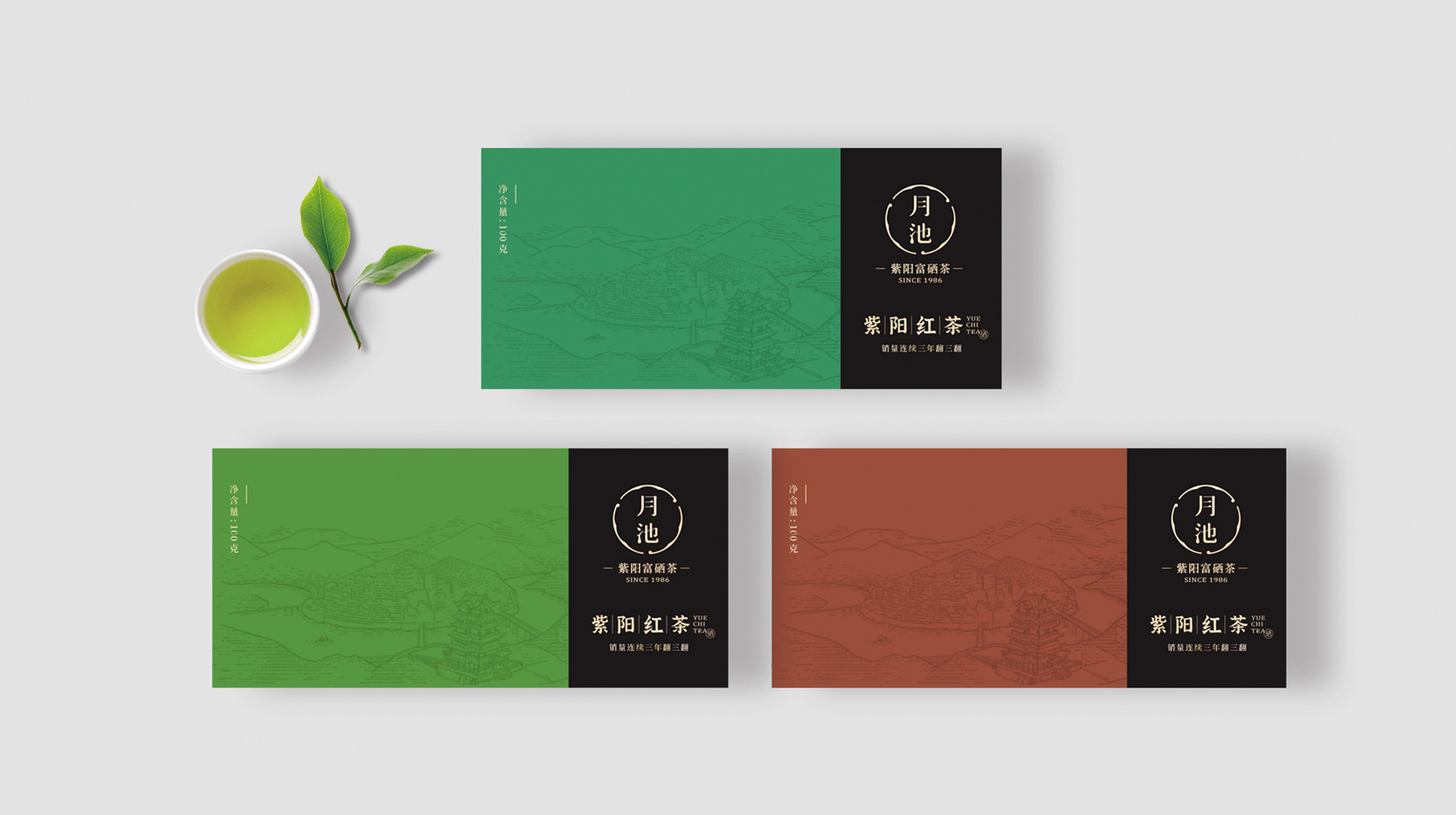 紫阳富硒茶包装设计(图2)