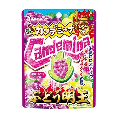 株洲食品饮料创意包装这样设计(图1)
