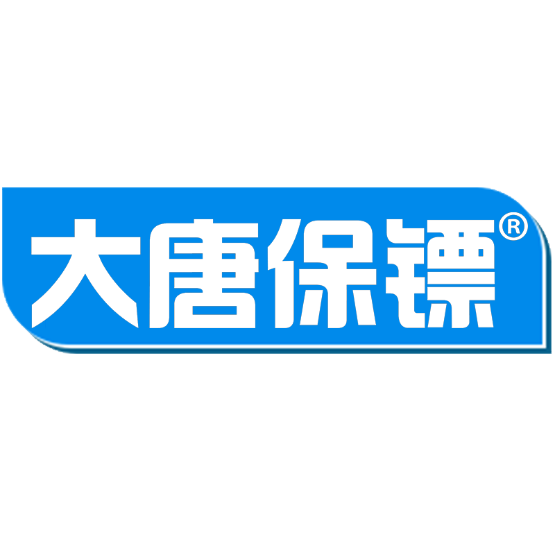 大唐保镖品牌logo设计欣赏与分析(图1)
