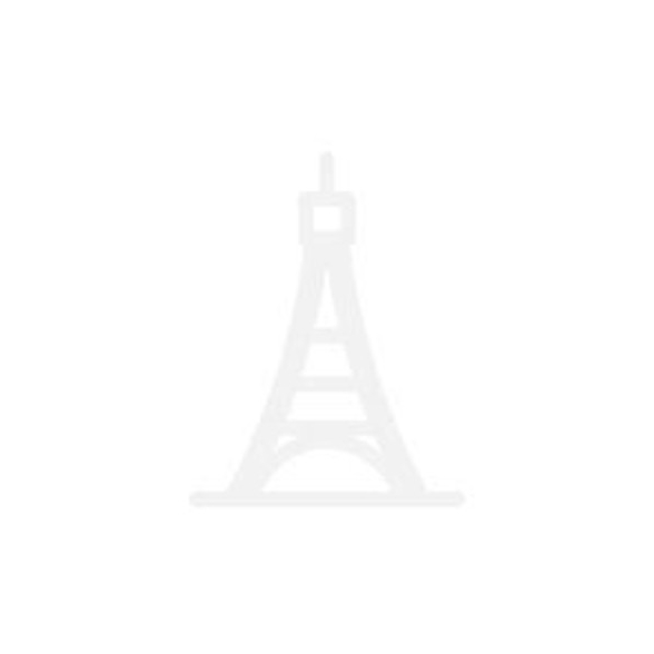 竹林鸟品牌logo设计欣赏与分析(图1)