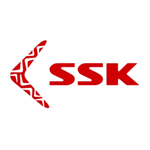 飚王品牌logo设计欣赏与分析(图1)