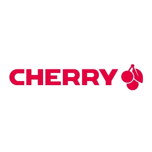 樱桃品牌logo设计欣赏与分析(图1)