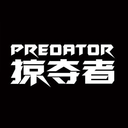 掠夺者品牌logo设计欣赏与分析(图1)