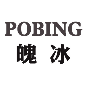 魄冰品牌logo设计欣赏与分析(图1)