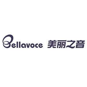 美丽之音品牌logo设计欣赏与分析(图1)