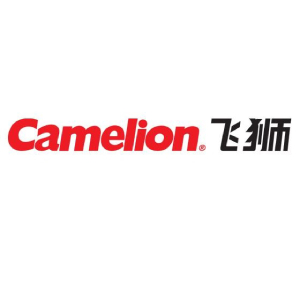 飞狮品牌logo设计欣赏与分析(图1)