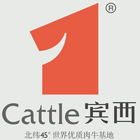 宾西品牌故事-logo设计分析(图1)