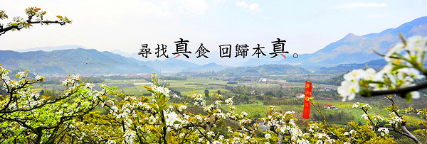 真食约定品牌故事-logo设计分析(图2) 真食约定品牌故事-logo设计分析(图2)