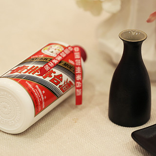 创意酒包装设计茅台 飞天茅台 2015年 53%vol 酱香型白酒 500ml 单瓶装产品包装设计欣赏(图5)