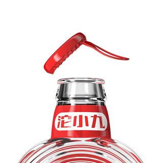 创意酒包装设计沱小九浓香型白酒单瓶装产品包装设计欣赏(图4)