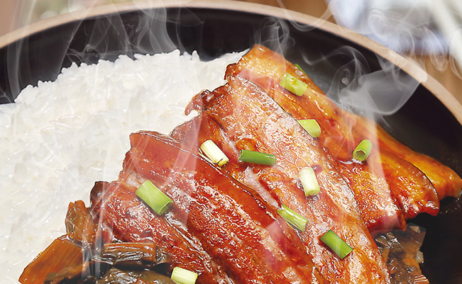 Hotcook皓康品牌logo与产品包装设计欣赏(图4)