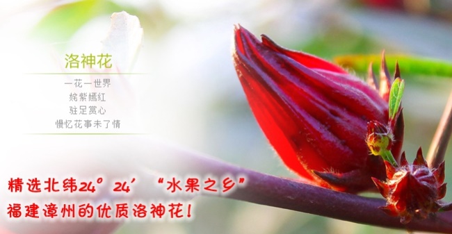 升龙华品牌logo与食品包装设计欣赏(图3)
