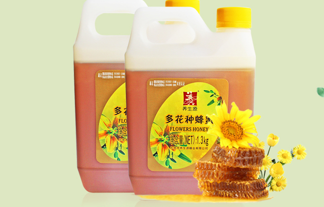 养生源品牌logo与食品包装设计欣赏(图3)