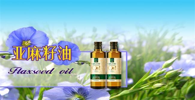 圣基品牌logo与食品包装设计欣赏(图2)