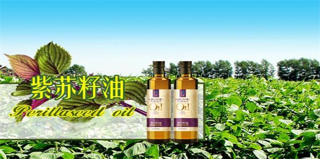 圣基品牌logo与食品包装设计欣赏(图3)