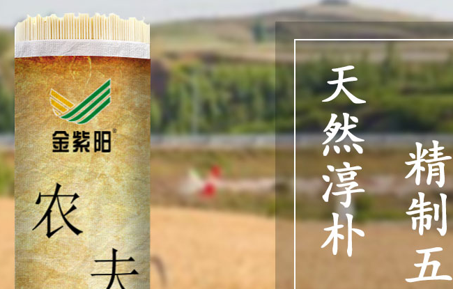 金紫阳品牌logo与食品包装设计欣赏(图3)
