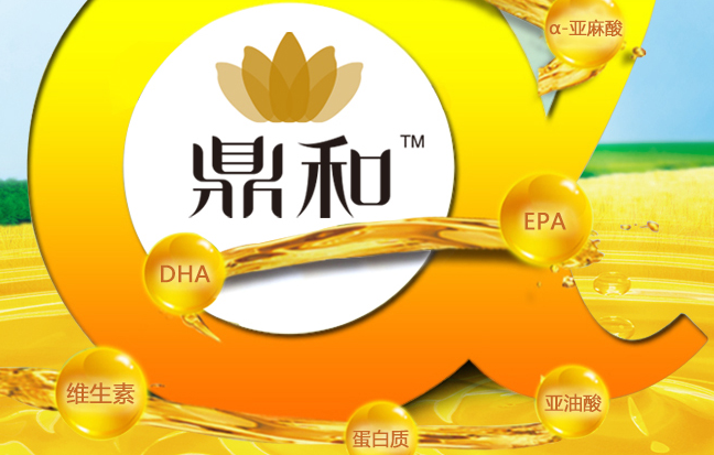 鼎和品牌logo与食品包装设计欣赏(图4)