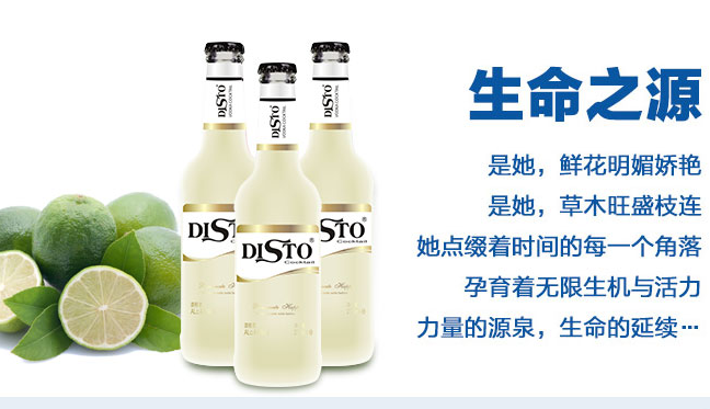 DISTO迪士品牌logo与食品包装设计欣赏(图2)