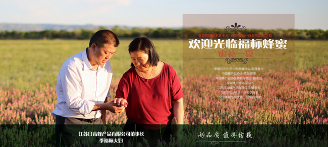 福标品牌logo与食品包装设计欣赏(图2)