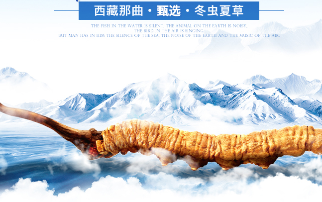 陇萃堂品牌logo与食品包装设计欣赏(图2)