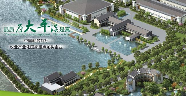 大平牌品牌logo与食品包装设计欣赏(图2)