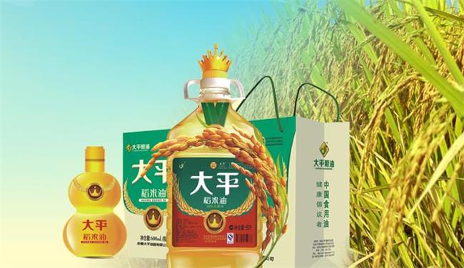大平牌品牌logo与食品包装设计欣赏(图3)