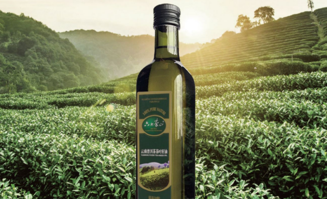 六大茶山品牌logo与食品包装设计欣赏(图2)