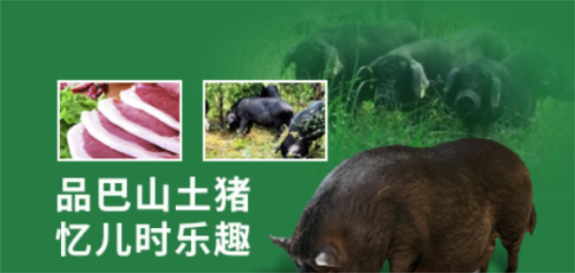 巴山土猪肉 巴山土猪品牌logo与食品包装设计欣赏(图2)