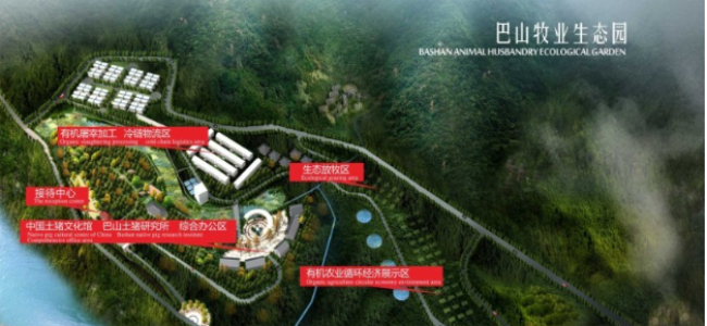 巴山土猪肉 巴山土猪品牌logo与食品包装设计欣赏(图3)