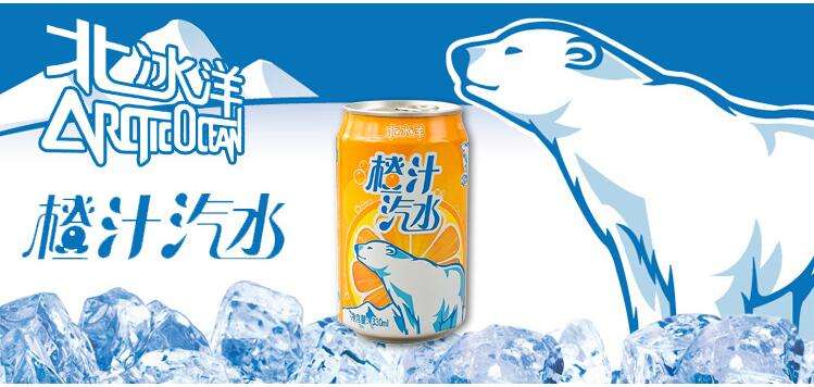 北冰洋品牌logo与食品包装设计欣赏(图4)