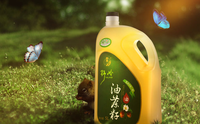 野岭品牌logo与食品包装设计欣赏(图3)