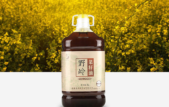 野岭品牌logo与食品包装设计欣赏(图4)