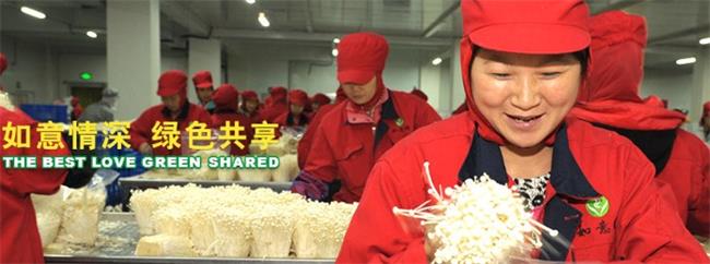 如意情品牌logo与食品包装设计欣赏(图4)