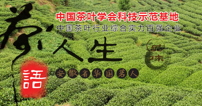 大别山品牌logo与食品包装设计欣赏(图2)